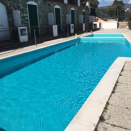 Ulivo Diano Marina