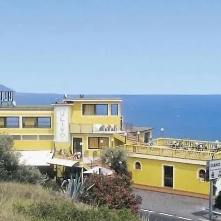 Ulivo 3*