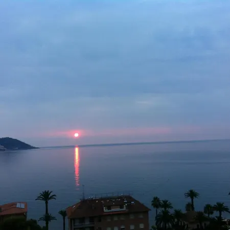 Ulivo Diano Marina