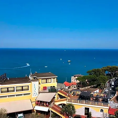 Ulivo Diano Marina